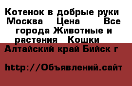 Котенок в добрые руки. Москва. › Цена ­ 5 - Все города Животные и растения » Кошки   . Алтайский край,Бийск г.